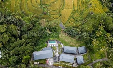 Luxury Boutique Resort & Spa in Ubud