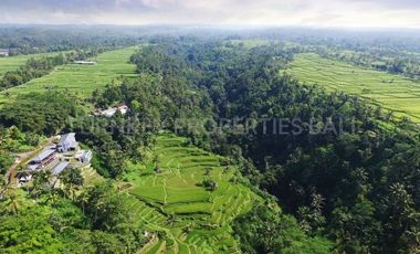 Luxury Boutique Resort & Spa in Ubud