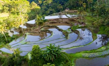 Luxury Boutique Resort & Spa in Ubud