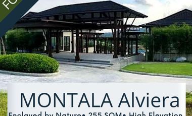 For Sale: Rare Montala Alveo Alviera