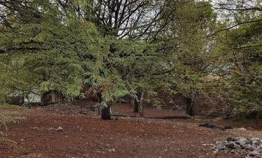 Terreno en Venta en Yautepec, Morelos. Oportunidad!