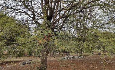 Terreno en Venta en Yautepec, Morelos. Oportunidad!