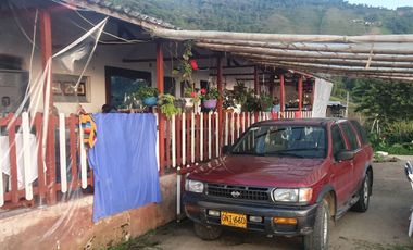 EN VENTA FINCA DE 16 CUADRAS EN DOSQUEBRADAS.