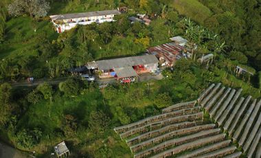 EN VENTA FINCA DE 16 CUADRAS EN DOSQUEBRADAS.