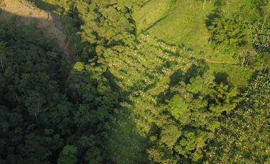 EN VENTA FINCA DE 16 CUADRAS EN DOSQUEBRADAS.