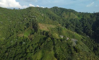 EN VENTA FINCA DE 16 CUADRAS EN DOSQUEBRADAS.