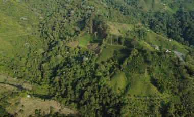 EN VENTA FINCA DE 16 CUADRAS EN DOSQUEBRADAS.