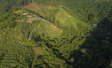 EN VENTA FINCA DE 16 CUADRAS EN DOSQUEBRADAS.