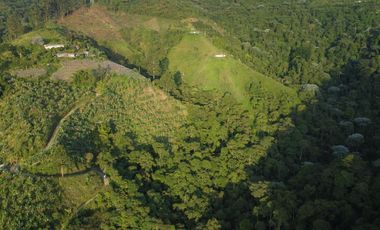 EN VENTA FINCA DE 16 CUADRAS EN DOSQUEBRADAS.