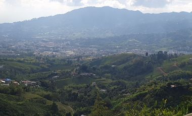 EN VENTA FINCA DE 16 CUADRAS EN DOSQUEBRADAS.