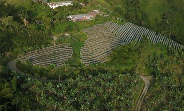 EN VENTA FINCA DE 16 CUADRAS EN DOSQUEBRADAS.