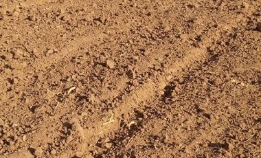 VENDO RANCHO AGRICOLA CON 81 HECTAREAS EN SAN DIEGO UNION CON POZO TIERRAS DE ALTA CALIDAD