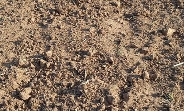 VENDO RANCHO AGRICOLA CON 81 HECTAREAS EN SAN DIEGO UNION CON POZO TIERRAS DE ALTA CALIDAD
