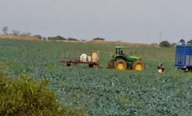 VENDO RANCHO AGRICOLA CON 81 HECTAREAS EN SAN DIEGO UNION CON POZO TIERRAS DE ALTA CALIDAD