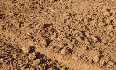 VENDO RANCHO AGRICOLA CON 81 HECTAREAS EN SAN DIEGO UNION CON POZO TIERRAS DE ALTA CALIDAD