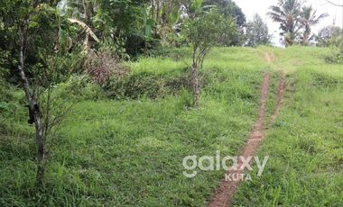 DIJUAL TANAH DESA APUAN BATURITI TABANAN, BALI