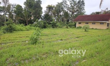 DIJUAL TANAH DESA APUAN BATURITI TABANAN, BALI