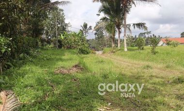 DIJUAL TANAH DESA APUAN BATURITI TABANAN, BALI