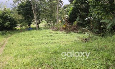 DIJUAL TANAH DESA APUAN BATURITI TABANAN, BALI