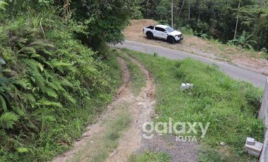 DIJUAL TANAH DESA APUAN BATURITI TABANAN, BALI