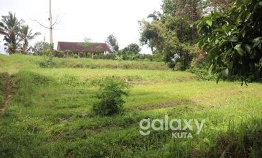 DIJUAL TANAH DESA APUAN BATURITI TABANAN, BALI