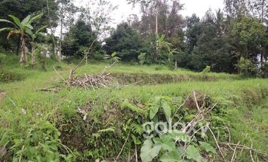 DIJUAL TANAH DESA APUAN BATURITI TABANAN, BALI