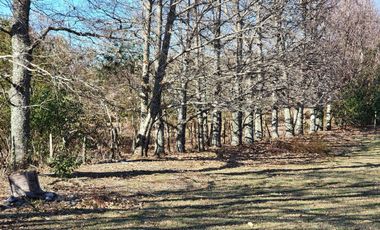 Venta de Parcela de 5600m2 con casa de 156m2 en Ñancul, a 8km de Villarrica