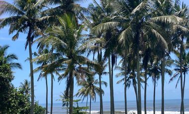 Freehold - Beachfront Land in Great Location Antap Tabanan