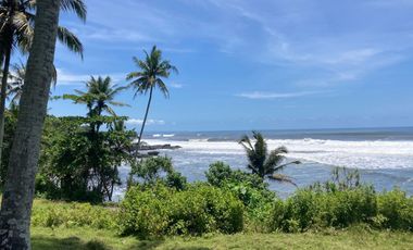 Freehold - Beachfront Land in Great Location Antap Tabanan