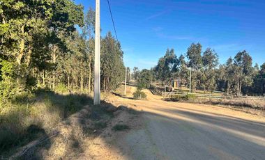 Parcela en camino a Tunquen, red de luz y agua