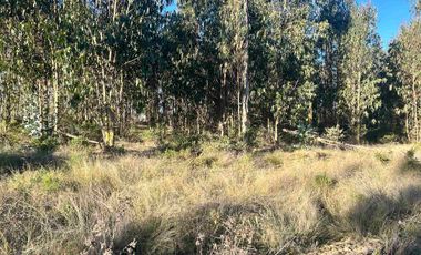 Parcela en camino a Tunquen, red de luz y agua