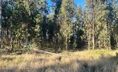 Parcela en camino a Tunquen, red de luz y agua