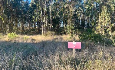 Parcela en camino a Tunquen, red de luz y agua
