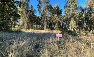 Parcela en camino a Tunquen, red de luz y agua