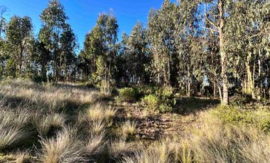 Parcela en camino a Tunquen, red de luz y agua