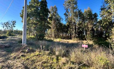 Parcela en camino a Tunquen, red de luz y agua