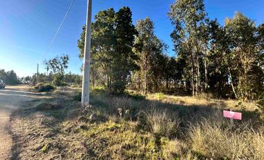Parcela en camino a Tunquen, red de luz y agua