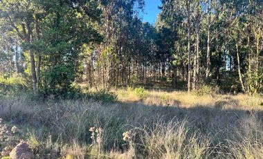 Parcela en camino a Tunquen, red de luz y agua
