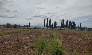 5.505 Hectares Lot for Sale in Brgy Pulong Yantok, Angat, Bulacan (Boundary of Sta. Maria & Angat)