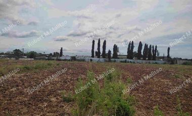 5.505 Hectares Lot for Sale in Brgy Pulong Yantok, Angat, Bulacan (Boundary of Sta. Maria & Angat)