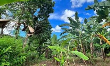 4,200 sqm Lot for Sale at San Jose, Baras Rizal