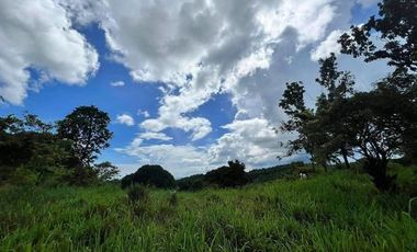 4,200 sqm Lot for Sale at San Jose, Baras Rizal