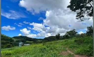 4,200 sqm Lot for Sale at San Jose, Baras Rizal