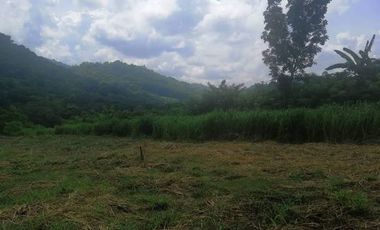 4,200 sqm Lot for Sale at San Jose, Baras Rizal