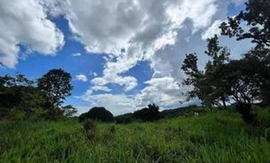 4,200 sqm Lot for Sale at San Jose, Baras Rizal