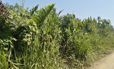 Lote de playa una hectárea mendihuaca parque tayrona