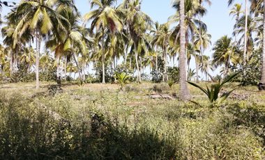 Lote de playa una hectárea mendihuaca parque tayrona