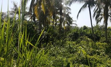 Lote de playa una hectárea mendihuaca parque tayrona