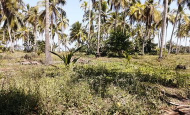 Lote de playa una hectárea mendihuaca parque tayrona
