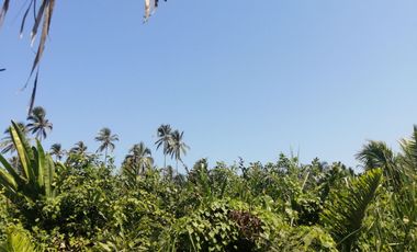 Lote de playa una hectárea mendihuaca parque tayrona